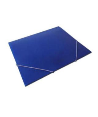 CARPETA CON LIGA PLASTICA...