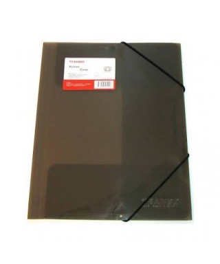 CARPETA PLASTICA CON LIGA...
