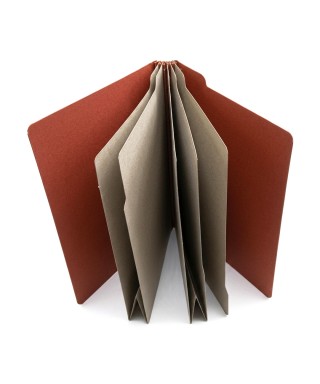 CARPETA DE EXPEDIENTE...